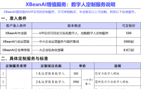 【数字人定制】XBeanAI增值服务：数字人定制服务说明